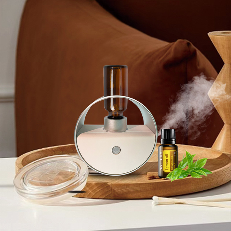 Диффузор эфирного масла, арома – обзор и цена Home Fragrance Ideas